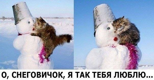 Ничего, что ты холодный, зато я - такая горячая!