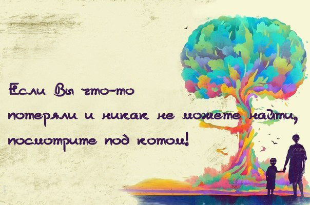 Картинка про потери и кота