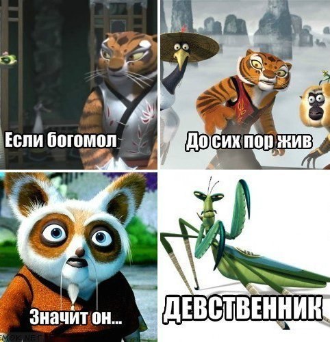 Страшная тайна богомола