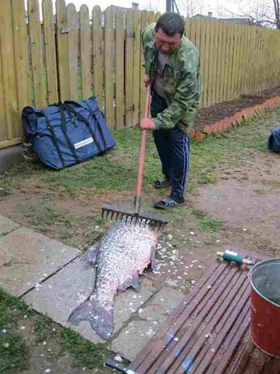 Расслабься, детка! Это Россия