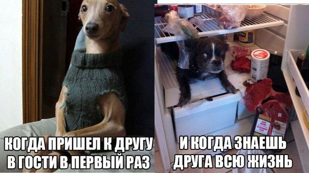 Поход в гости к другу