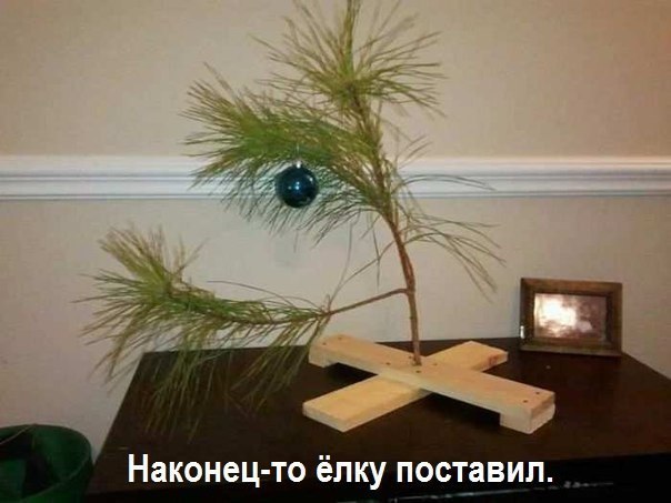 Наконец-то елку поставил