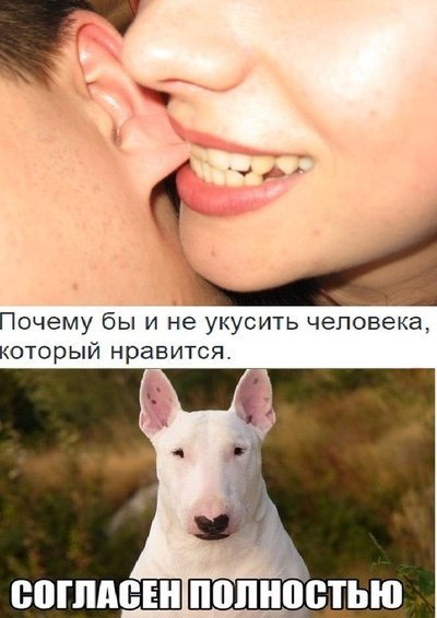 Мастер пикапа