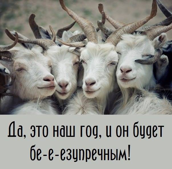 Картинка про год козы