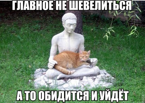 Замри при любых обстоятельствах