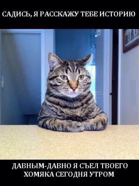 Сейчас ты услышишь страшную историю