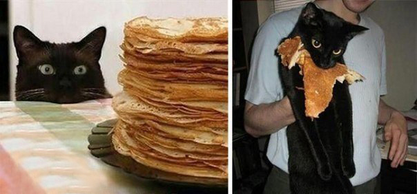 Пойманы на месте преступления