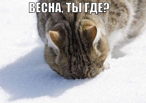 Весна уже в пути, осталось совсем немного