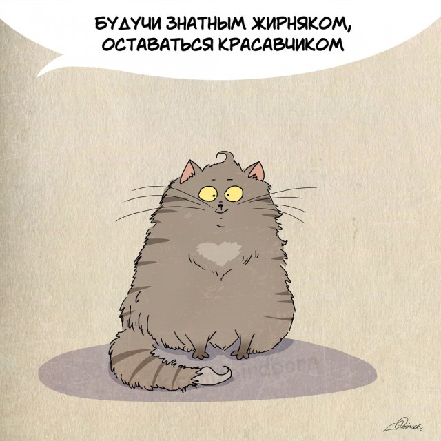 1 марта - день кошек