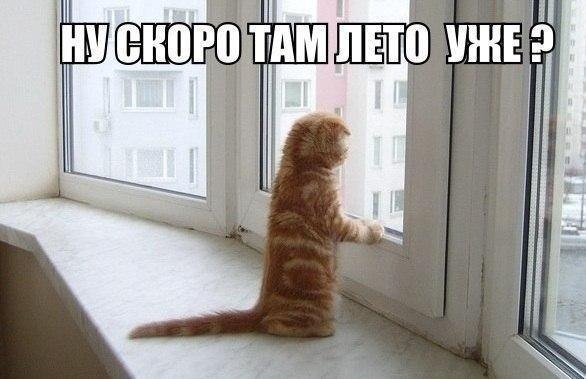 Ну скоро там лето?