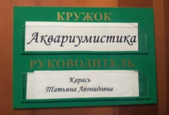 Люди выбрали правильную профессию