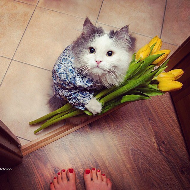 Самое милое фото с 8 марта