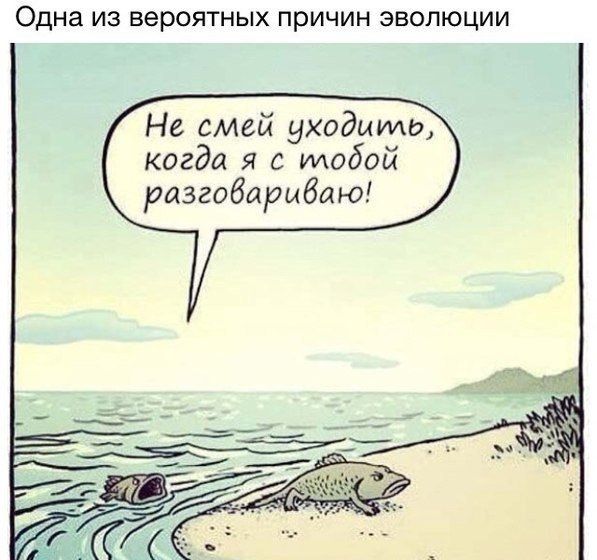 Неофициальная версия эволюции