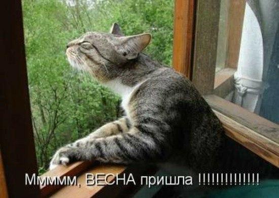 А за окном весна