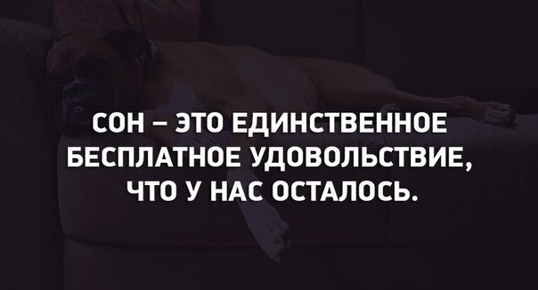 Сон - бесплатное удовольствие