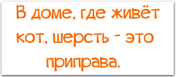 ТОП 10 смешных картинок