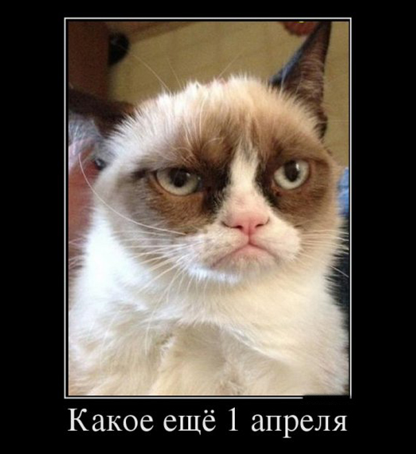 Демотиваторы на 1 апреля