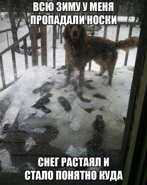 Место, куда убегают носки