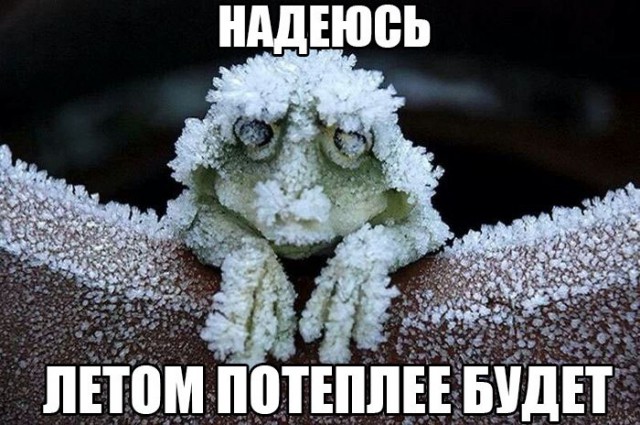Летом будет теплее, будем ждать