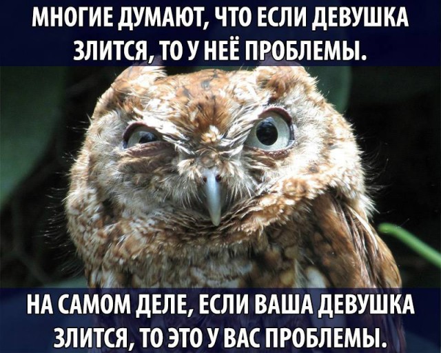 Прикол про девушку и проблемы