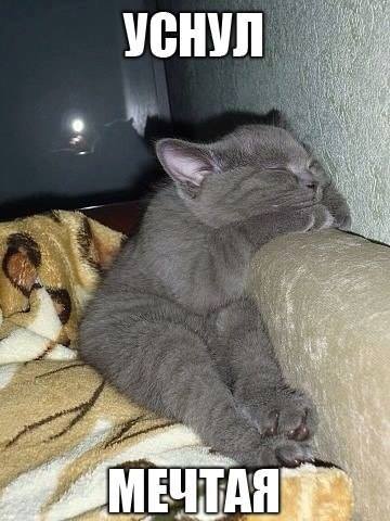 Уснул в мечтах