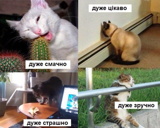 Комикс с котиками