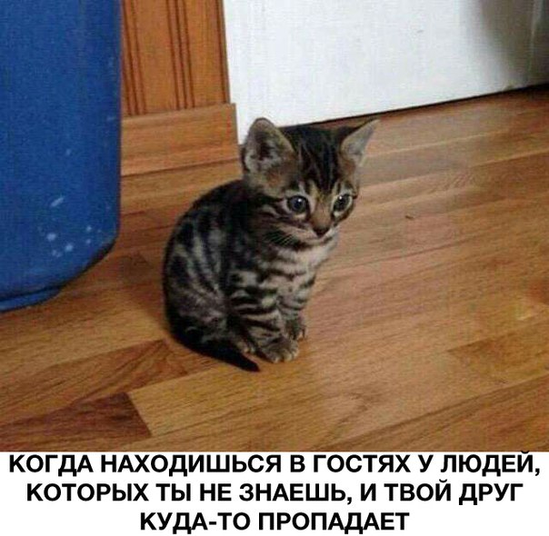 Приходишь в гости и тебя бросают