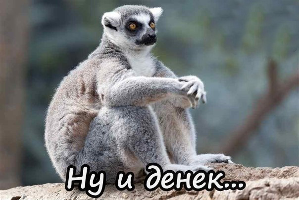 Ну и денек...