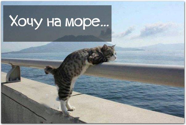 Хочу на море..