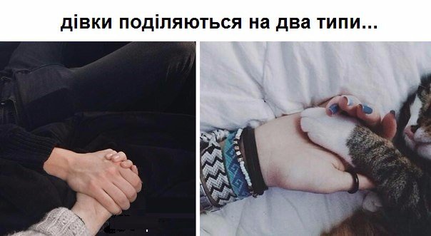 Девушки делятся на два вида