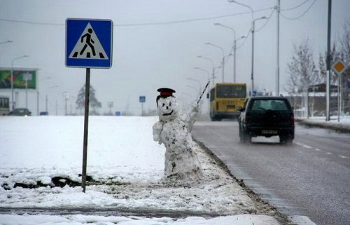 Смешные фото