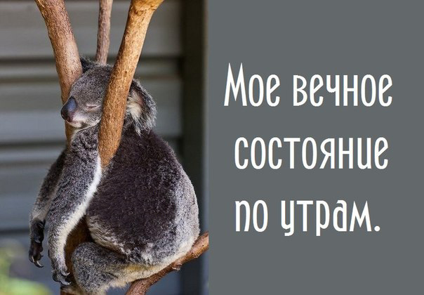 Мое состояние по утрам