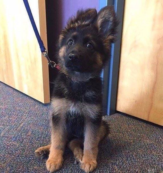 Первый день на службе