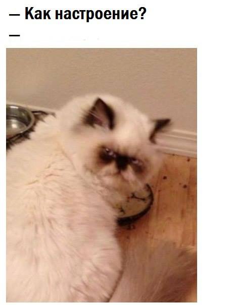 Ходют тут всякие, поесть не дают!