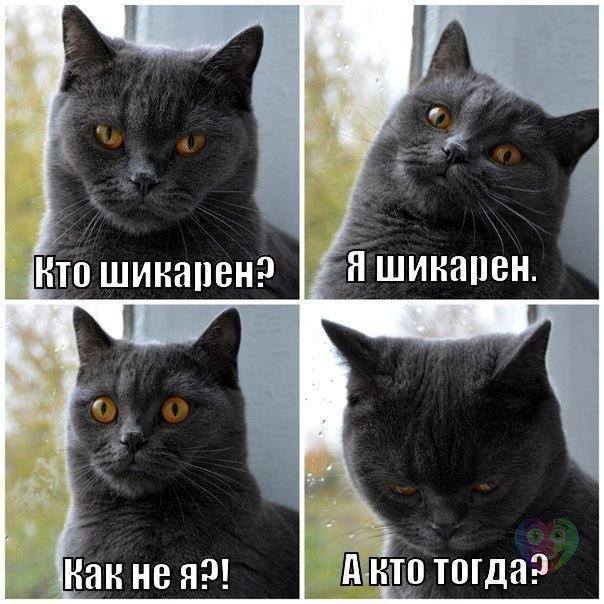 Прикол про няшку