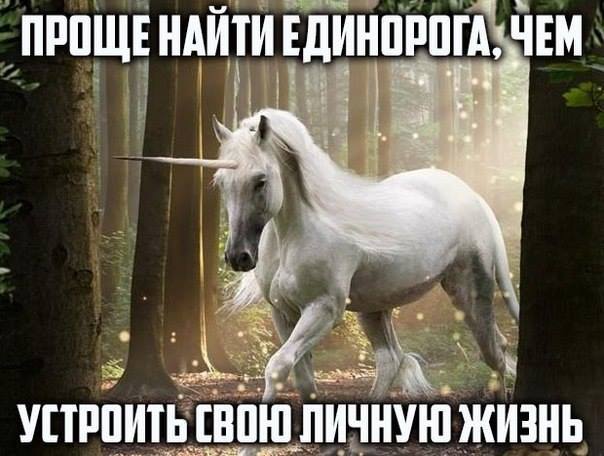 Картинка про единорога и отношения