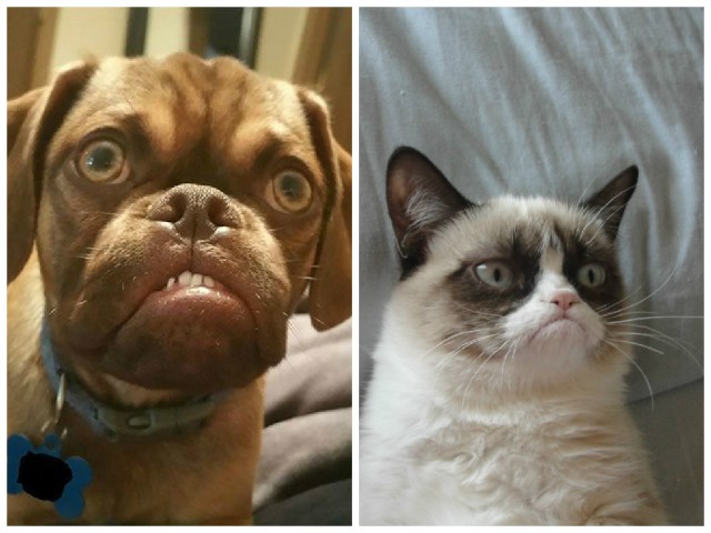 Кто угрюмей всех на свете