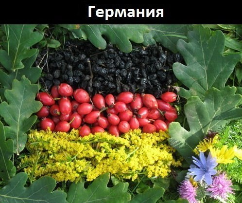 Природа рисует флаги
