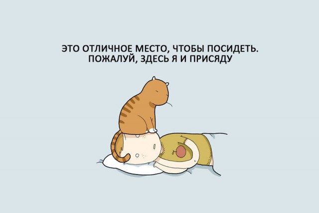 Вся правда о котах