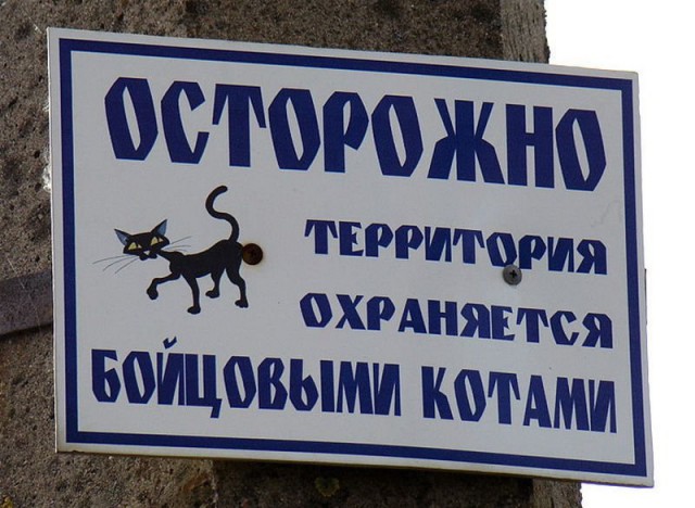 18 смешных табличек на заборах