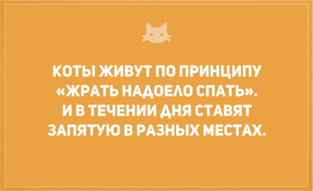 Без кота и жизнь не та