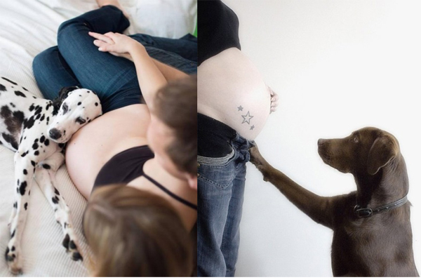 Невероятно трогательные снимки: "В ожидании чуда"