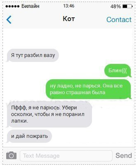 Смски от кота