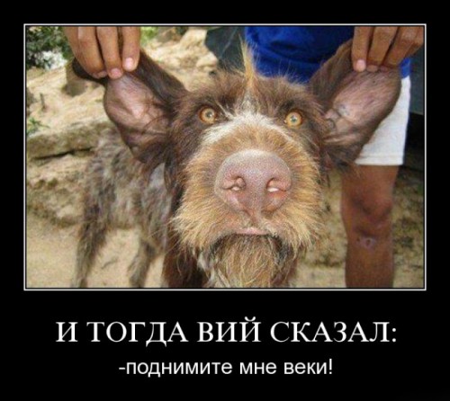 Забавные демотиваторы