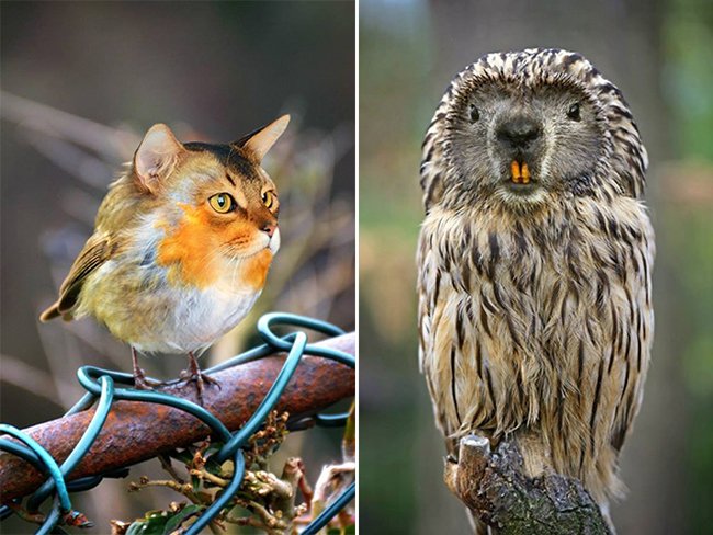 Создания, которых страшно было бы встретить