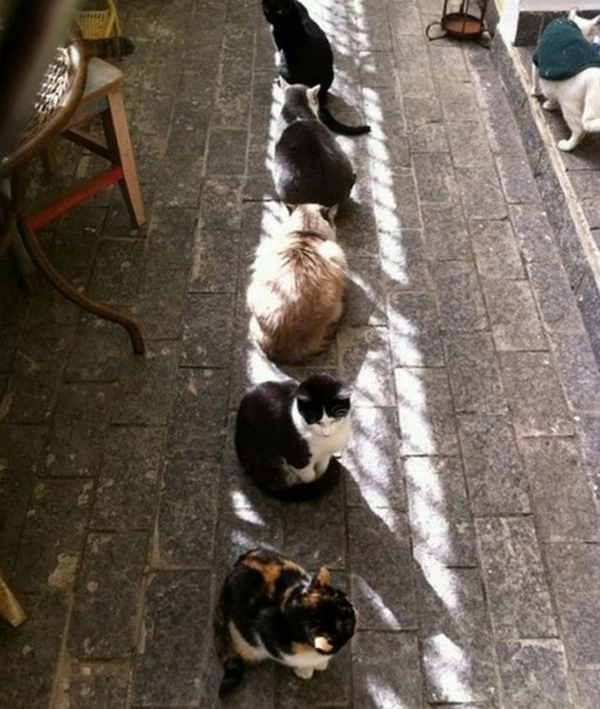 Осенью так не хватает тепла....