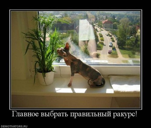 Правильный ракурс