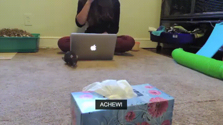 Хозяйка чихнула - нужна салфетка