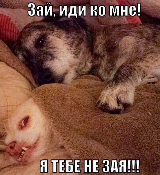 Зая, у тебя уже закончились эти дни?