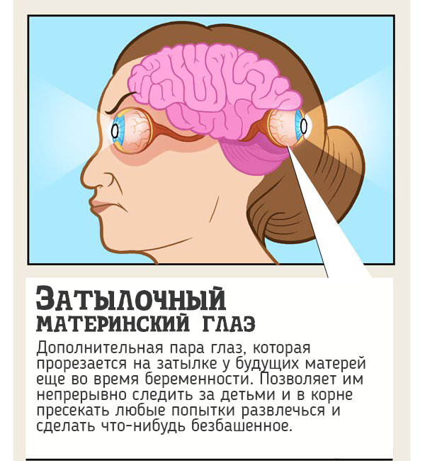 10 органов, которые активизируются в определенной ситуации (ПРИКОЛ)